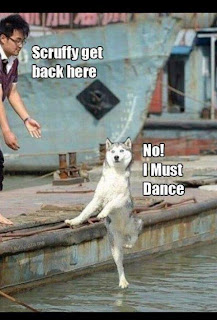 Dog Dancing on Water