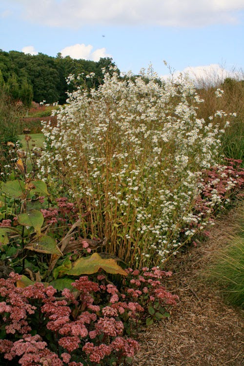 grow Sussex Prairie Gardens