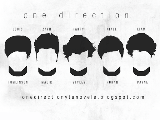 One Direction y Tu. Novela