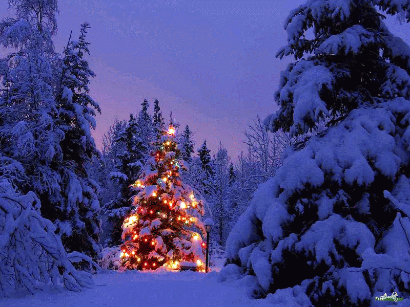 http://3.bp.blogspot.com/-x4obiNJ6Ics/UrfUM2XQHtI/AAAAAAAANnk/LLiAe4ZP4bk/s1600/52-Beautiful-Winter-And-Christmas-Free-Wallpapers_08-1600x1200-TWINKLE.gif