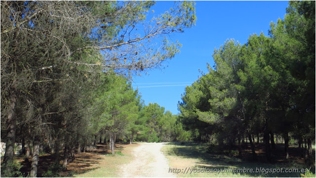 por el otro lado del barranco, entre pinos por el otro lado del barranco, entre pinos
