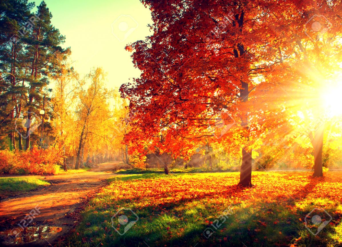 Autumn Landscape Stock Photos Images Royalty Free Autumn Autumn Landscape Stock Photos Images Royalty Free Autumn