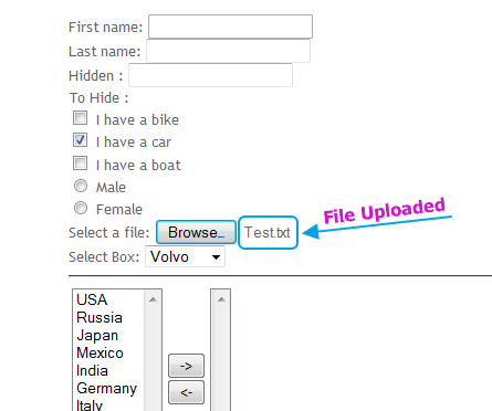 selenium generated driver