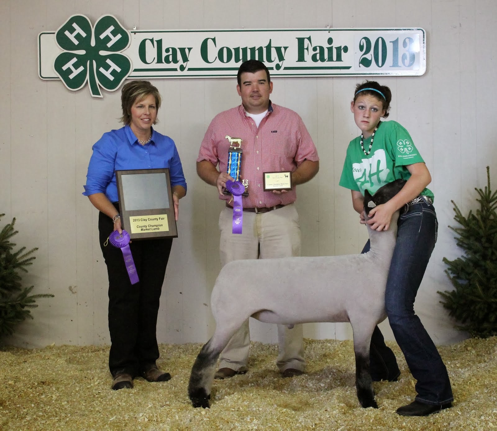 Grand Champion Market Lamb 2013 Overall Clay County/District
