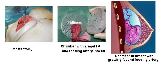 Medical weight loss health center rancho cucamonga image 10