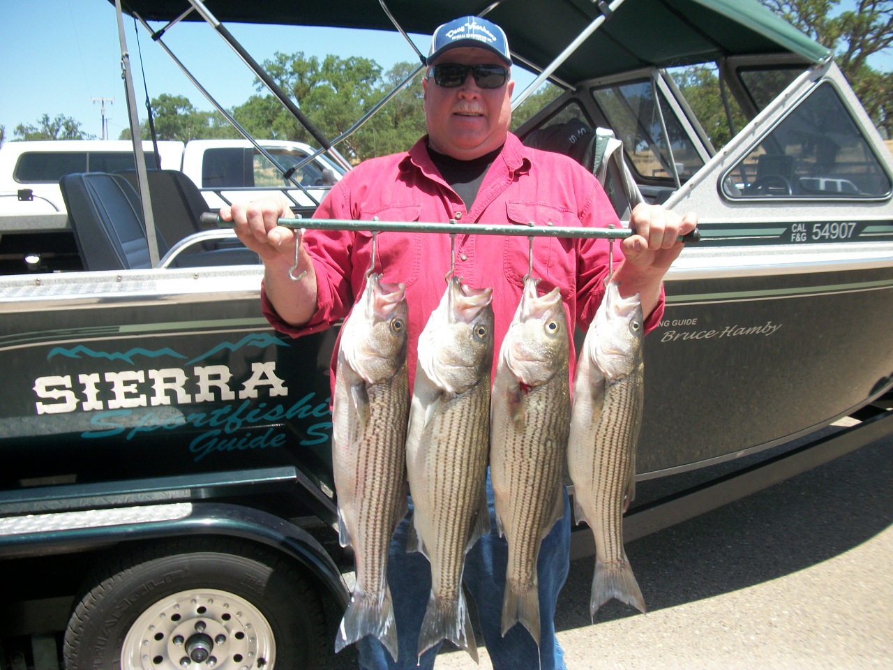 mokelumne river fishing report