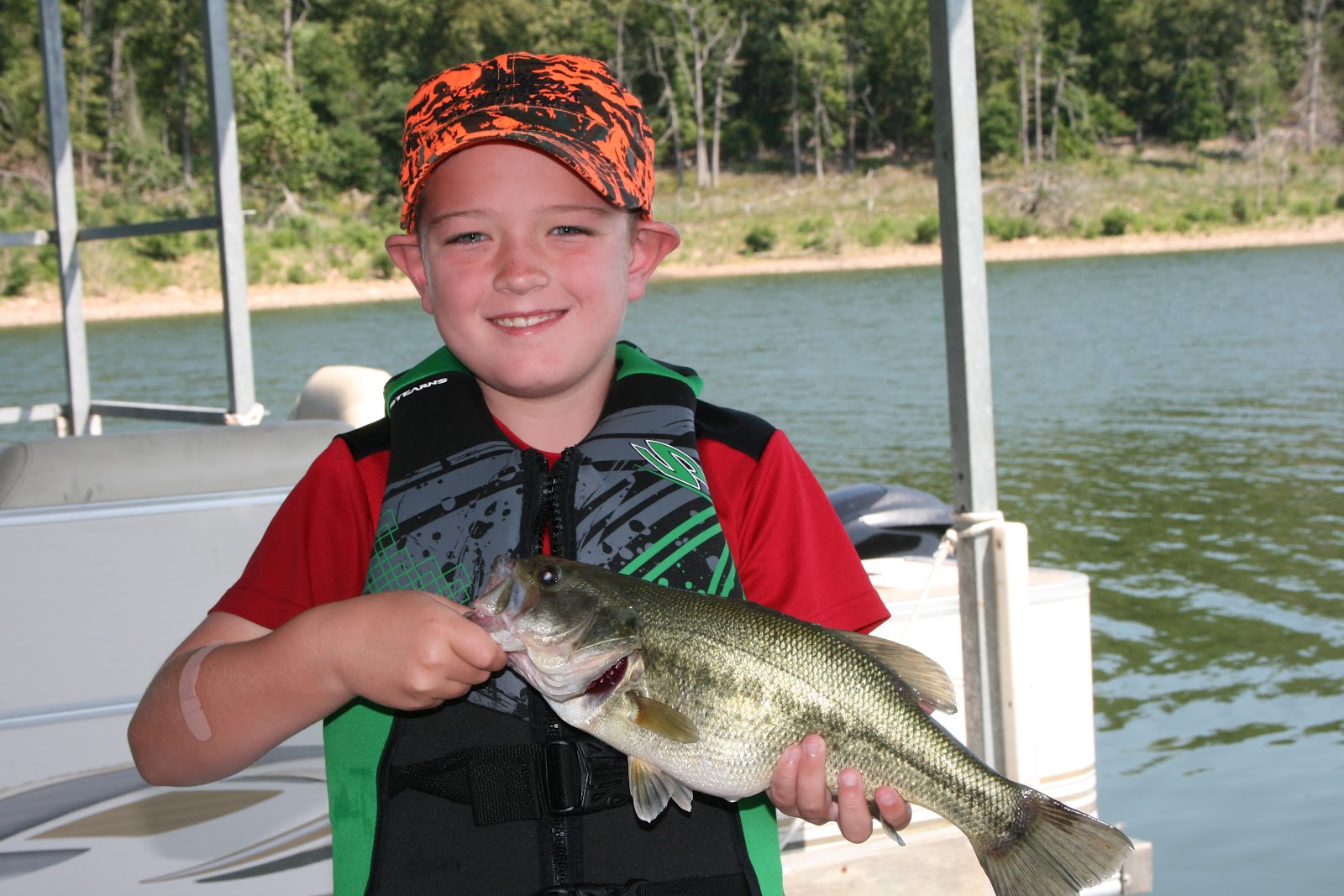 Hummingbird Hideaway Resort on Norfork Lake Norfork Lake Fishing Report
