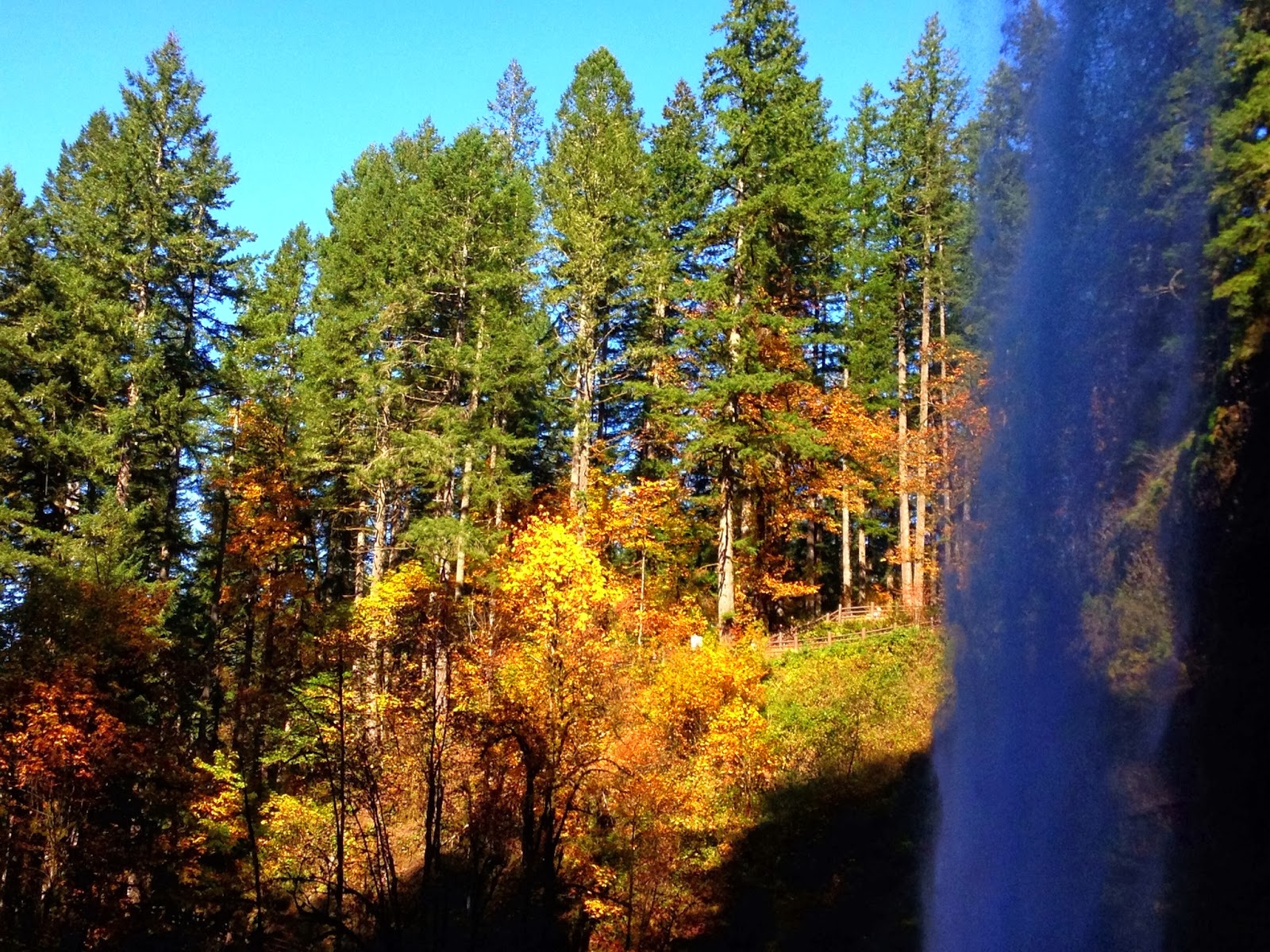 October 2013 Adventures With The Family Mac