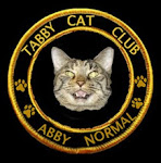 Tabby Cat Club