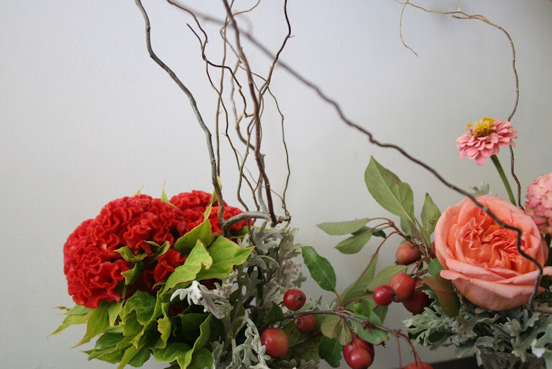 honey of a thousand flowers jen's flowers