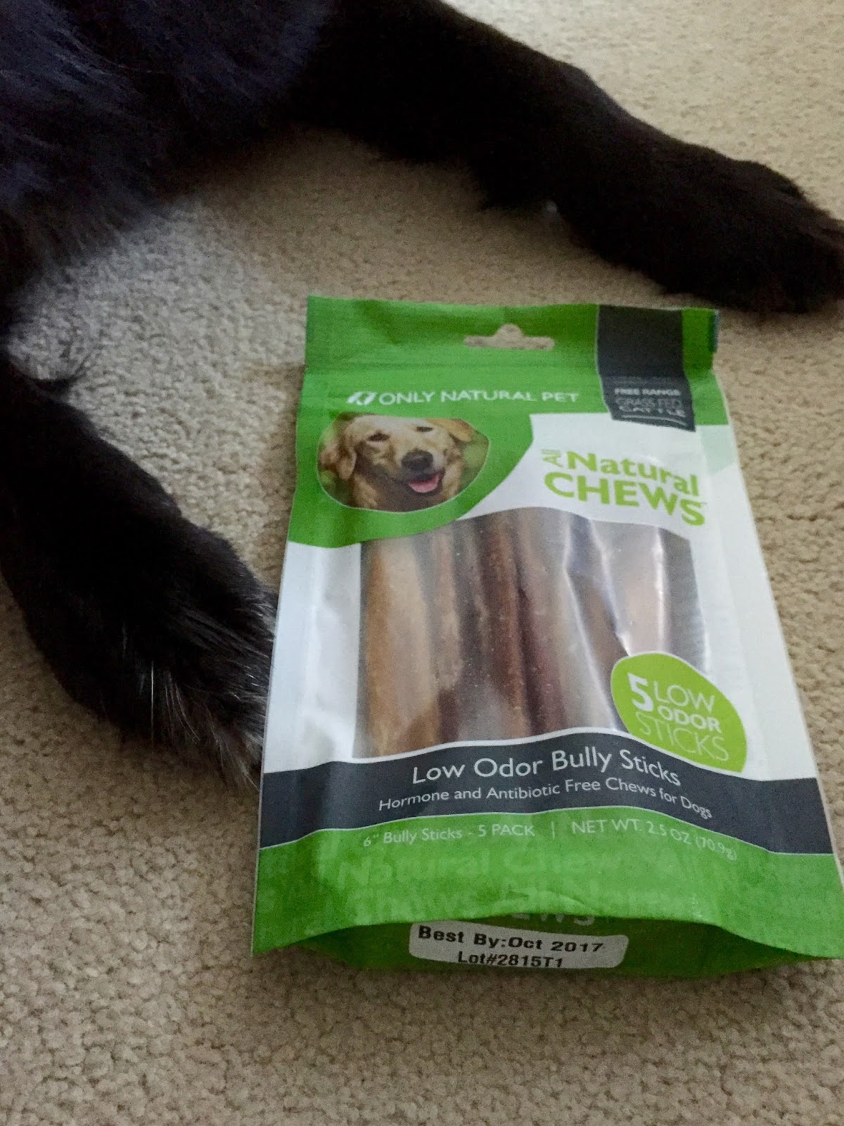 The Simple Life Only Natural Pet Review