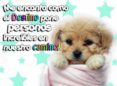 Resultado de imagen para imagenes de amor