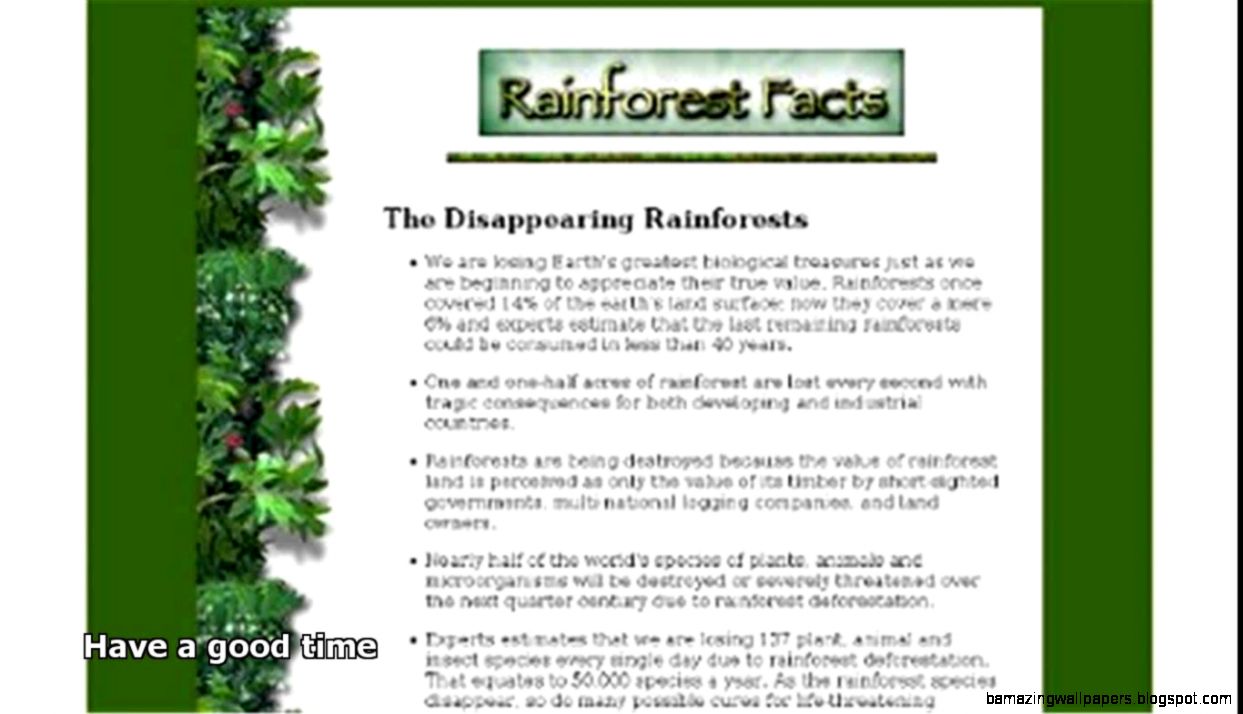 rainforest animals facts YouTube rainforest animals facts YouTube
