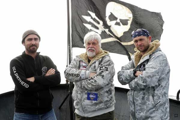 'Whale Wars' season 4 trailer and episode guide; premiers June 3 ~ This