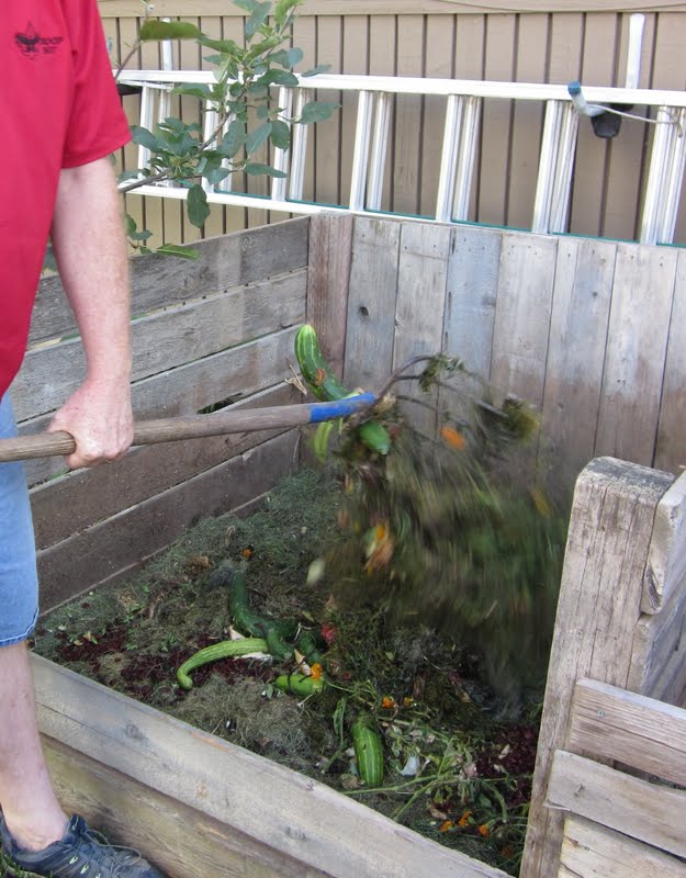 Honey I'm Home Chickens in the City & an Amazing Yard Tour