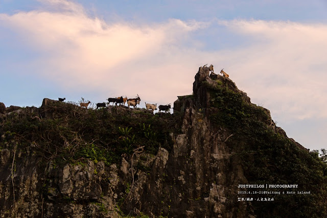[台東] 蘭嶼自由行|飛魚季,大天池,東清灣日出