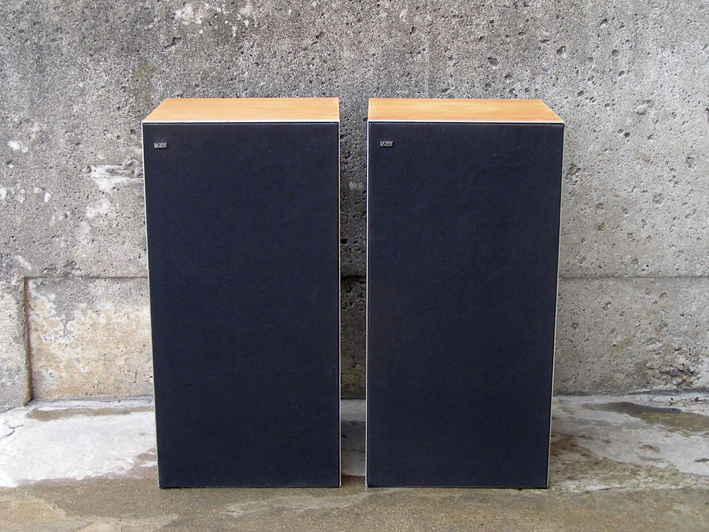 bang & olufsen beovox 3702