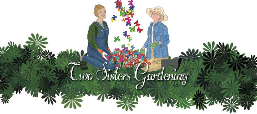 Two Sisters Gardening