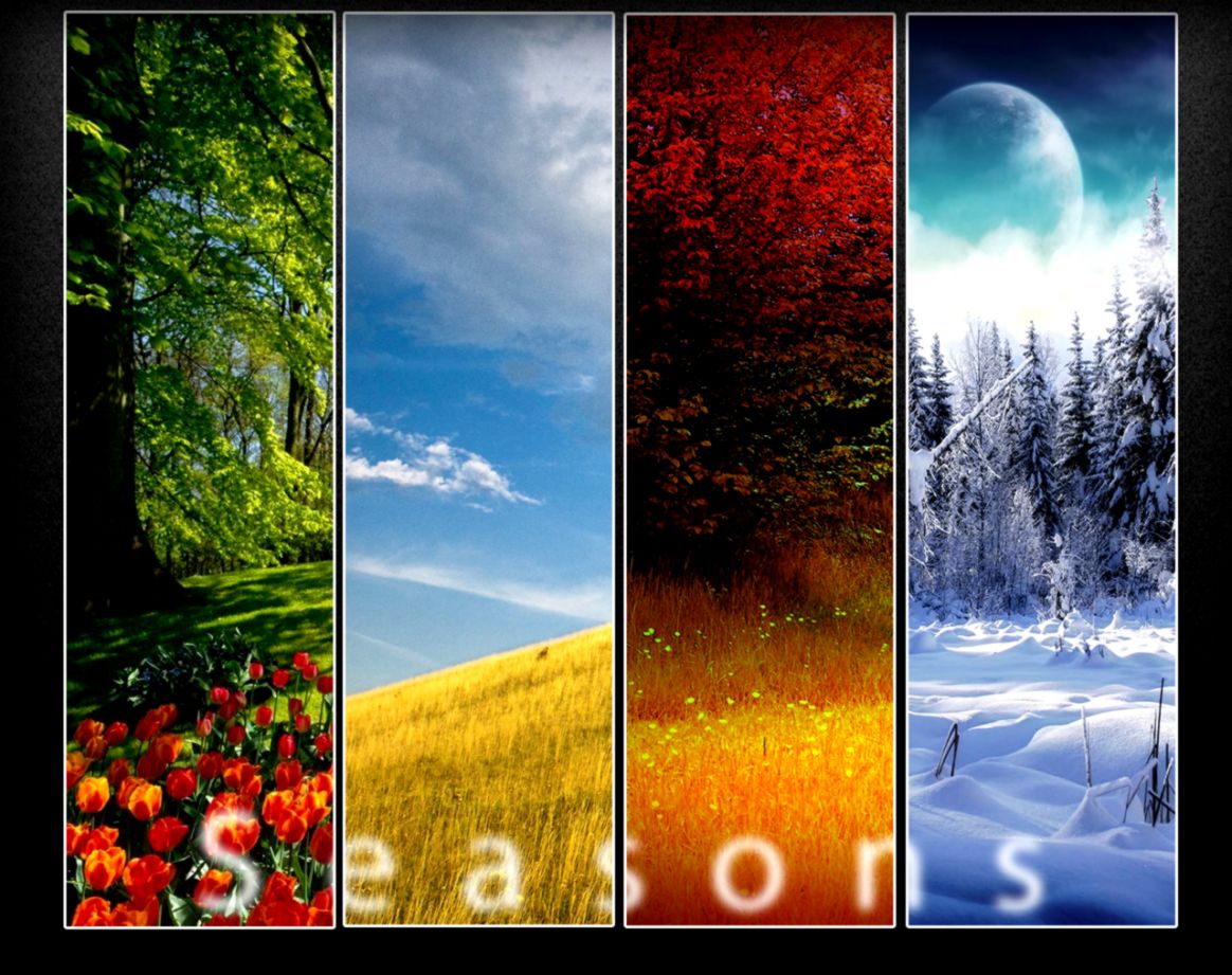 Four Seasons Wallpaper WallpaperSafari Four Seasons Wallpaper WallpaperSafari