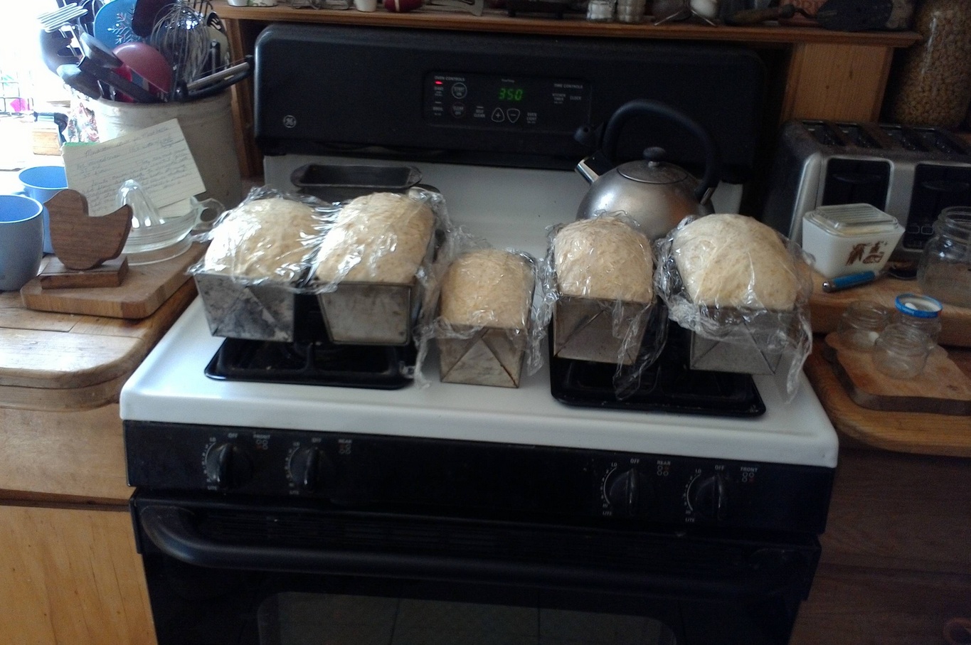 Frugal Measures The great bread experiment