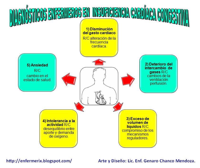 INSUFICIENCIA AND CARDIACA insuficiencia and cardiaca: