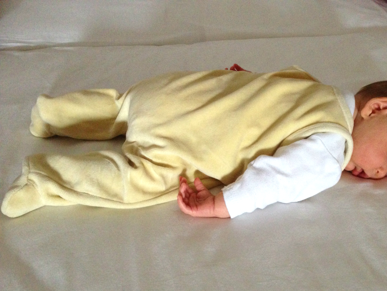 Buddha Zitate Motivation