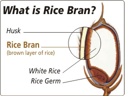 About Rice Bran
