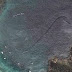 Creatura "Taniwha", en polémica imagen de Google Earth en Nueva Zelanda