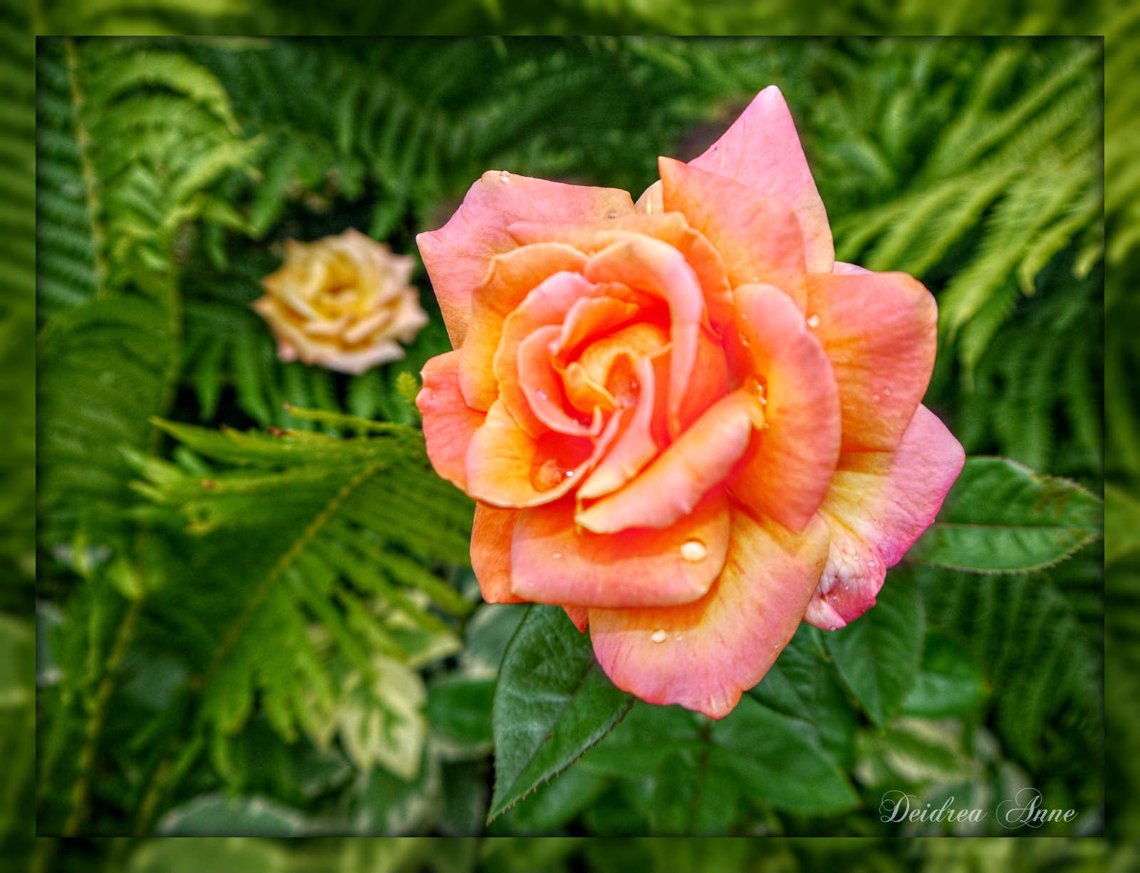 Suzy Homefaker Wax dipped Flowers