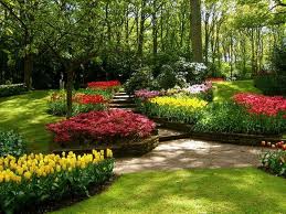 flowers for flower lovers.: June 2011