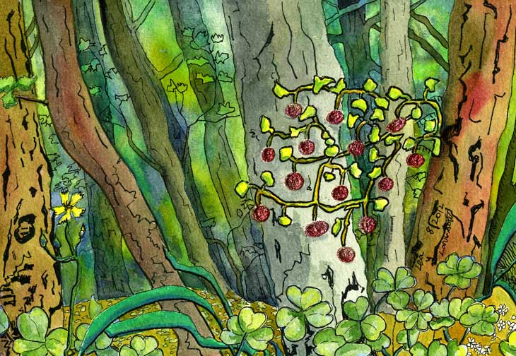 Brooke Davis Bedazzled