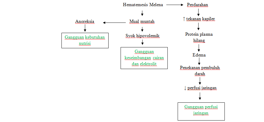 Askep Hematemesis Melena