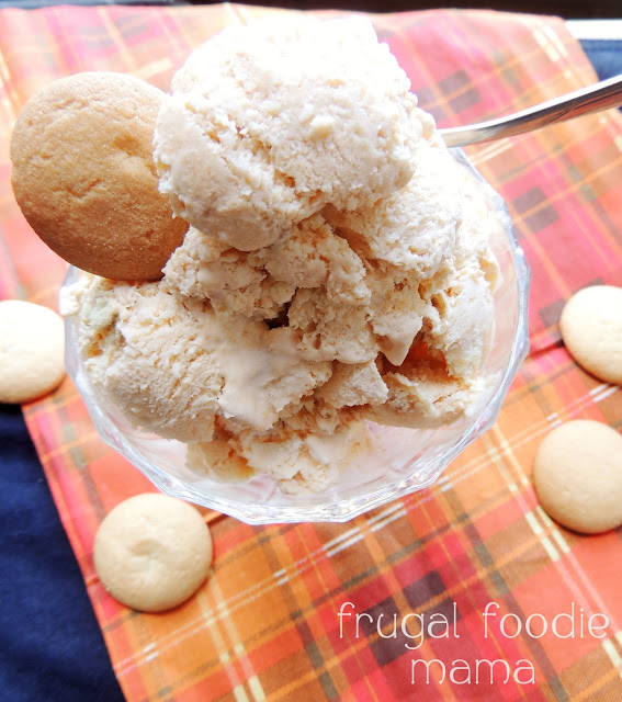 Frugal Foodie Mama Pumpkin Pie "Blizzard" Ice Cream