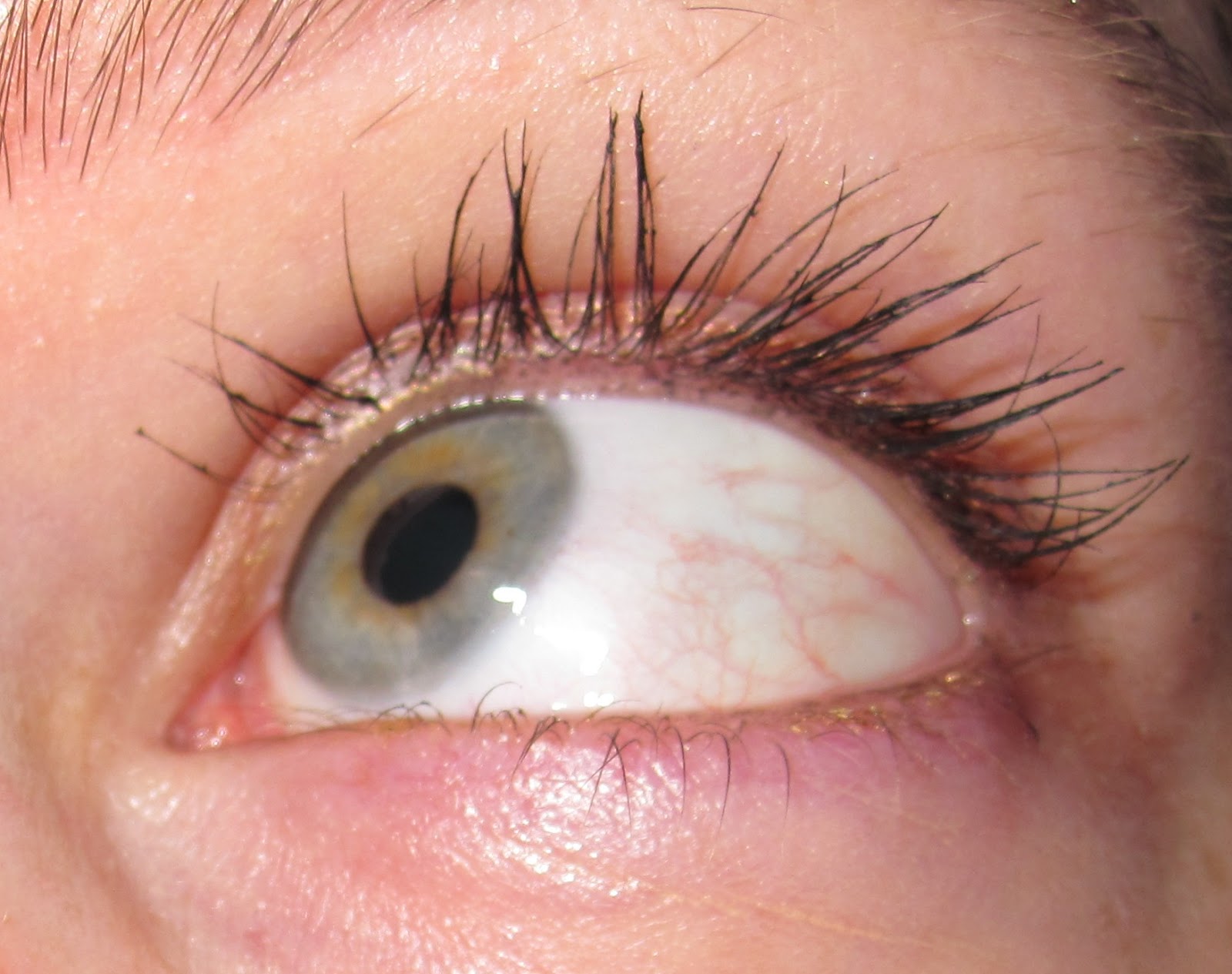 EOTD AntiTired Eyes Beauty Geek