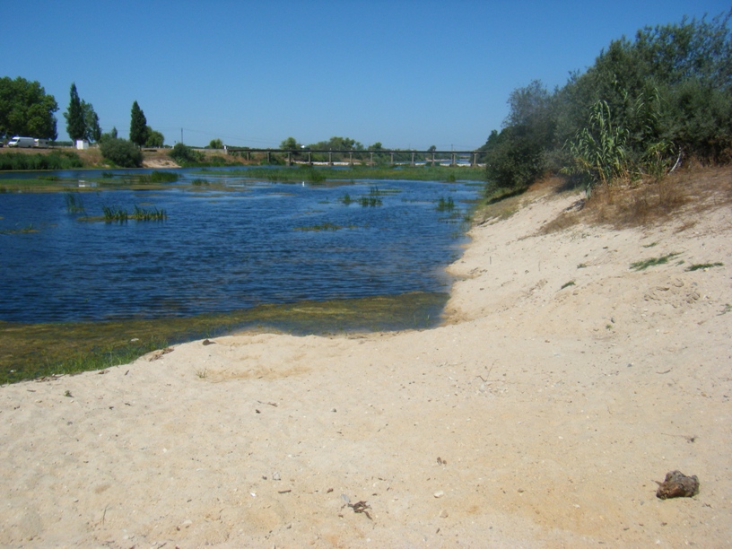 Zona Fluvial