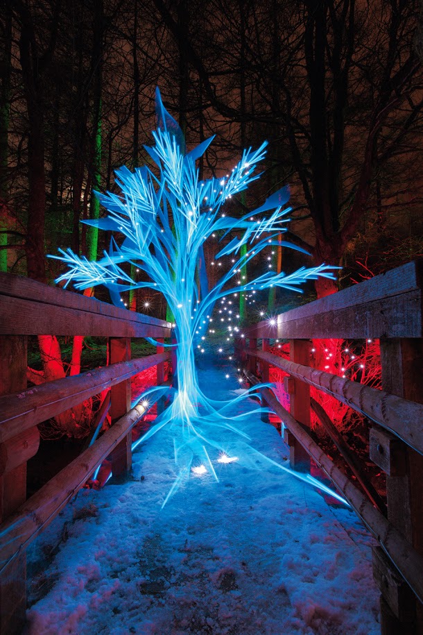 Chantel Britton Level 3 Art and Design Light photography Artist