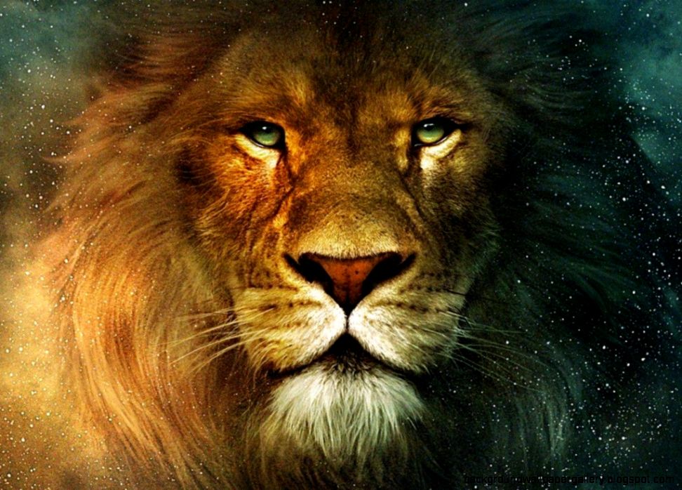 Lion Animals Digital Artwork Wallpaper