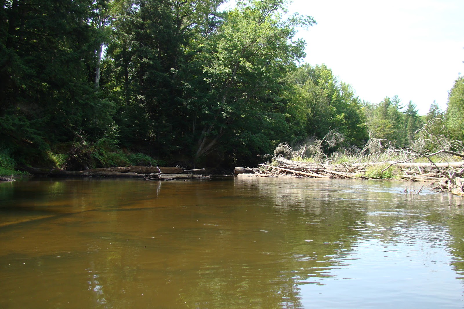 Kayak Northeast Manistique River Michigan Upper Peninsula