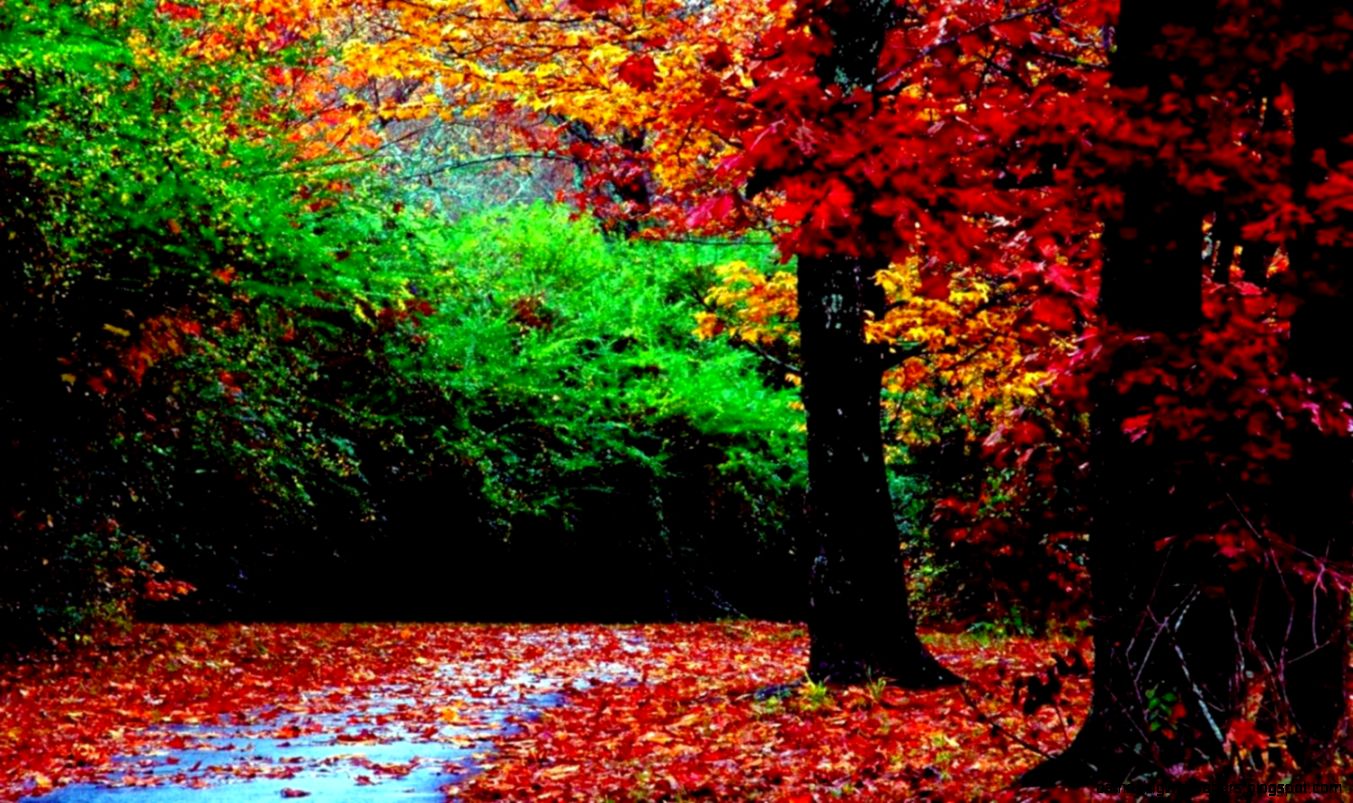 Landscape Wallpaper Nature Photography All HD Wallpapers Landscape Wallpaper Nature Photography All HD Wallpapers