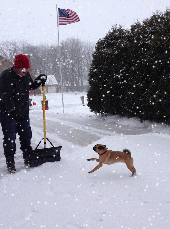 Garden Thyme with Diana Dreaming Thyme…….