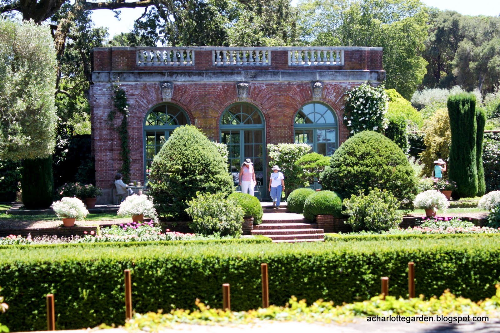 A Charlotte Garden 8 1 13 9 1 13