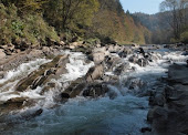 MOJE BIESZCZADY