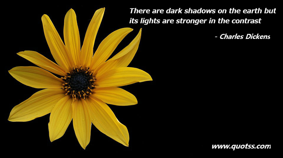 Image Quote on Quotss - There are dark shadows on the earth, but its lights are stronger in the contrast by