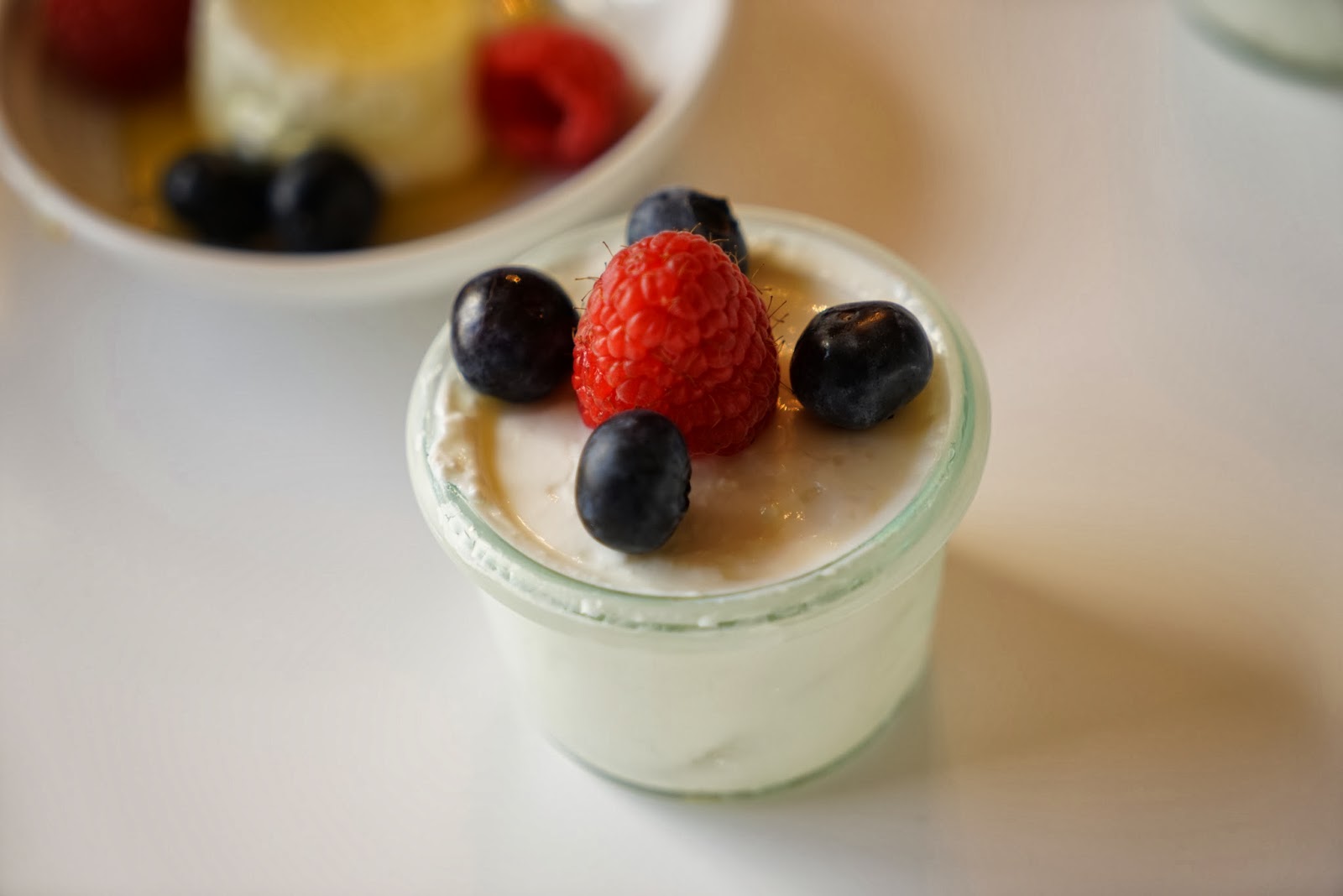 Homemade Regular and Greek Yogurt Chef Rachida