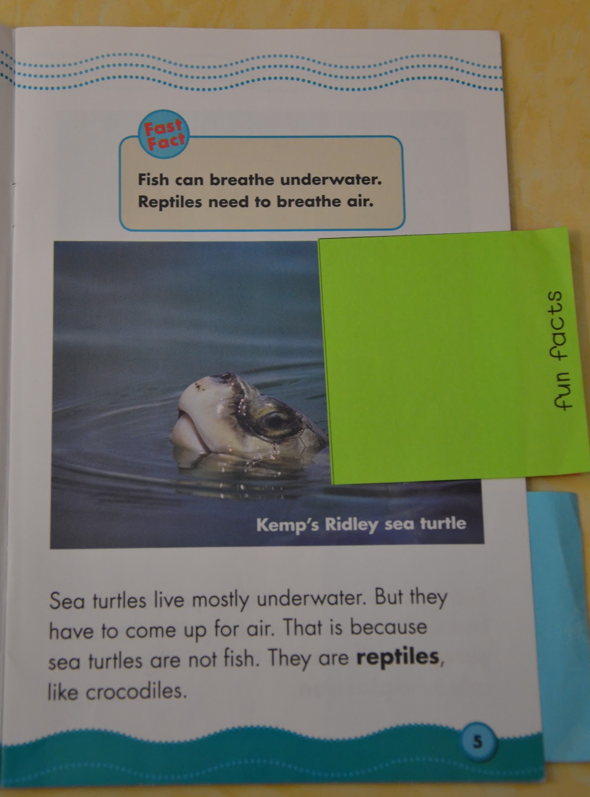 A Place Called Kindergarten: starting a nonfiction writing unit