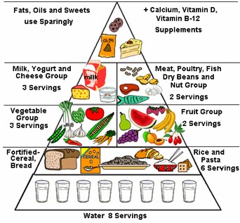Balanced Diet Chart For Indian Womens