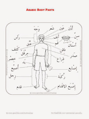 body part arabic