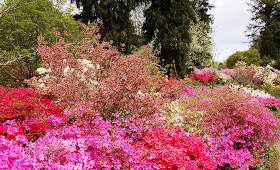 Mountain Musings Mountain Girl Perfume