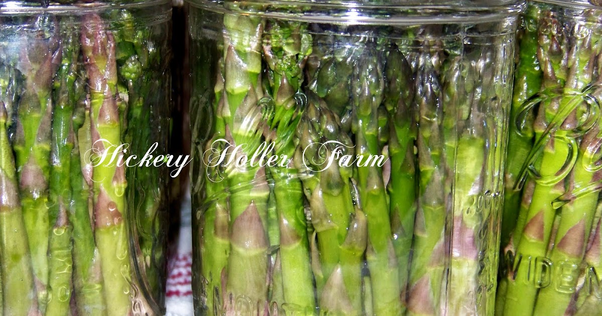 Hickery Holler Farm Canning Asparagus