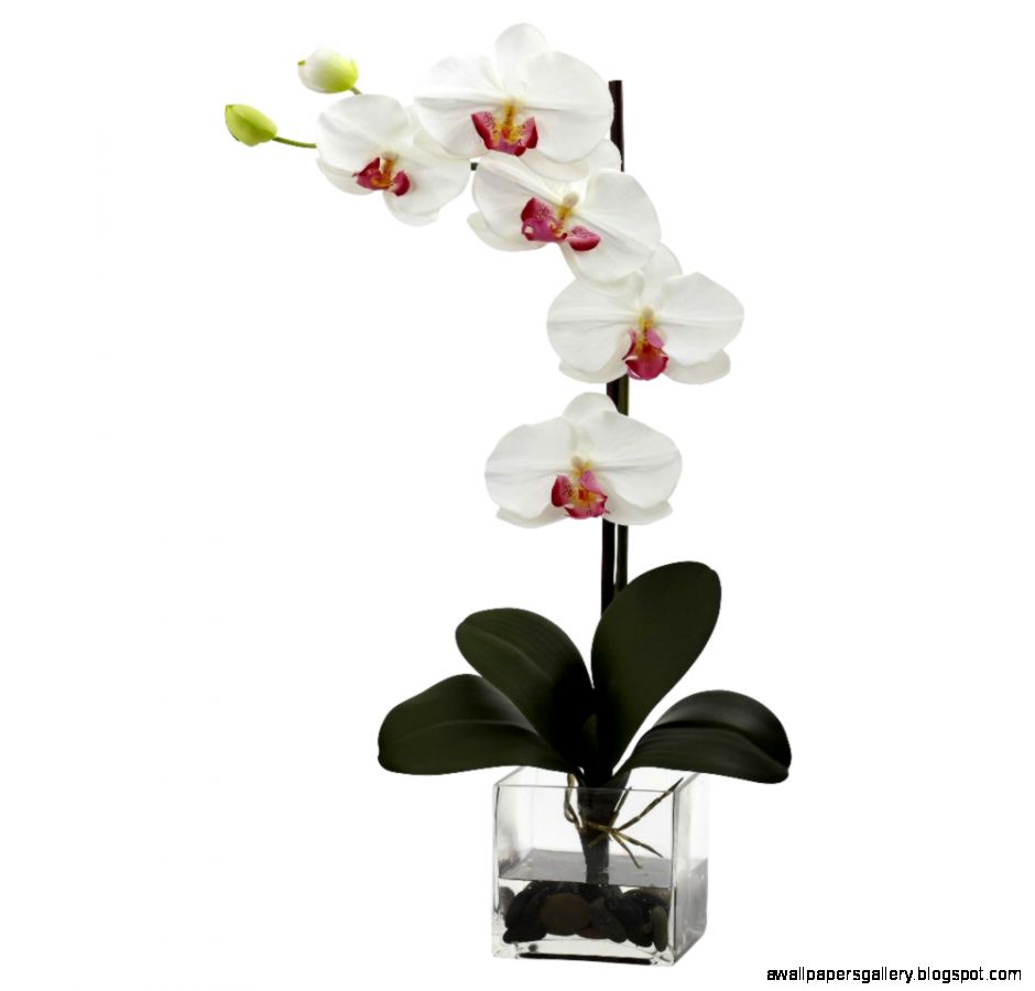 Giant Phalaenopsis White Orchid Silk Flower Arrangement with Vase Giant Phalaenopsis White Orchid Silk Flower Arrangement with Vase